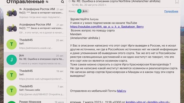 Сорт Ирги Мандам (Mandam) Российский ли?, а Красноярсякая тоже? Много вопросов но ответов нет!!!