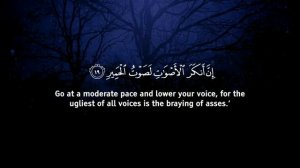 "ЛУКМАН" Сураси. #сура #куран #quran #omarhishamalarabi #красивоечтениекорана