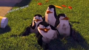 матершиная озвучка пингвины из мадагаскара