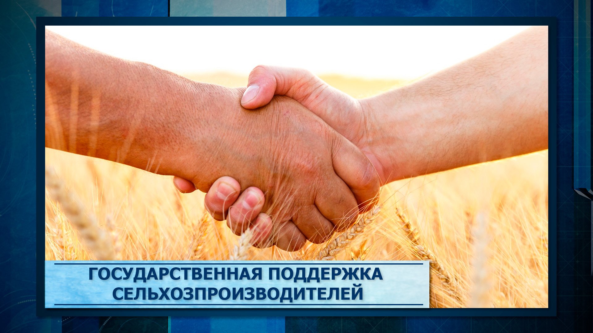 Государственная поддержка сельхозпроизводителей