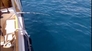 Рыбалка в открытом море. Катер Ника. Алушта.Крым