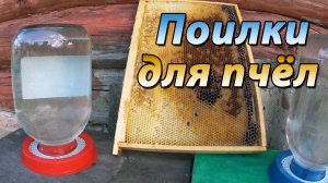 Поилка для пчёл на пасеке. Нужна ли пчёлам вода
