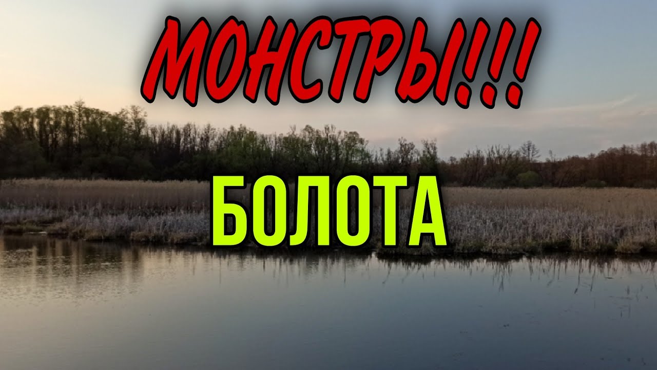 ОГРОМНЫЕ КАРАСИ на ПОПЛАВОЧНУЮ УДОЧКУ. Монстры болота рвут снасти! смотреть онлайн