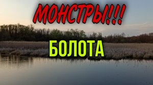 ОГРОМНЫЕ КАРАСИ на ПОПЛАВОЧНУЮ УДОЧКУ. Монстры болота рвут снасти!
