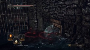 Прохождение Dark Souls 2: Scholar of the First Sin — Часть 9: БОСС: ЗАБЫТАЯ ГРЕШНИЦА +СЕТ ХЕЙДА