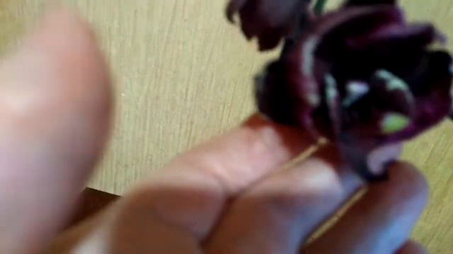 Печалька с Каменной Розой . 21.02.20г. смотреть онлайн