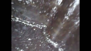 How To Clean PCV Valve | Suzuki Grand Vitara 2007 2.0L J20A | Dirty Valve Cover