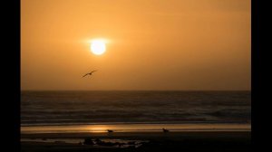 Перекрёсток (Блокада Сердца) - Птица