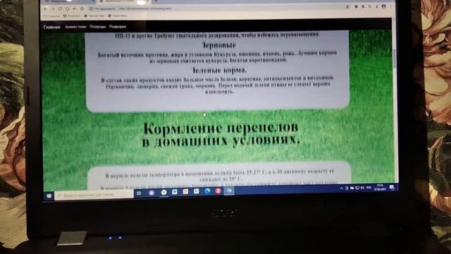 Сайт с нуля. Уроки создания сайтов.