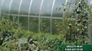 Знаменитые Народные Теплицы ВОЛЯ в Ростове н/Д, Шахты