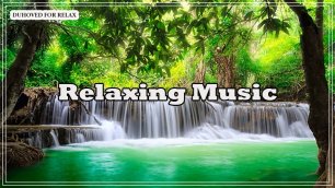 Уютная Музыка Для Отдыха 😴 Красивые Звуки Для Утренней Энергичной, Бессловесной Расслабляющей Музык