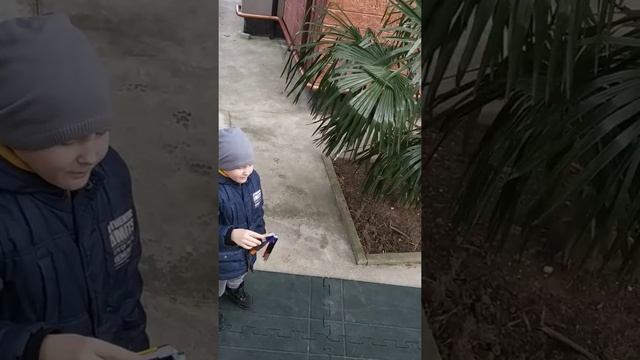 Птичка падальщик серия 5 смотреть онлайн