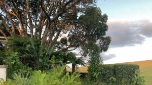 Граскоп. Вечер первого дня.