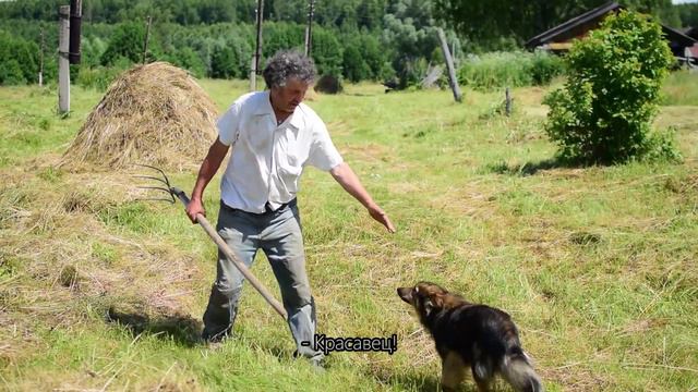 Умирала наша деревня. Александра Афанасьева