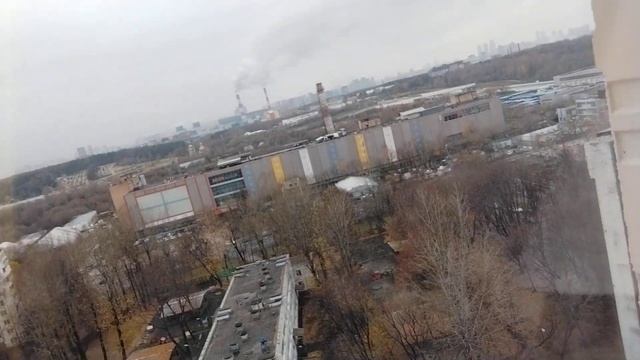 моя поговорка