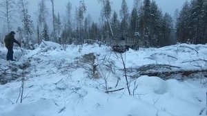 Заготавливаем дрова на автомобиле ЗИЛ 157. Как работали ссыльные в Сибири