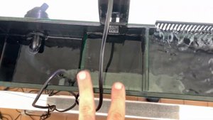 Морской аквариум с задним сампом 45х45х45 см. Как устроен задний самп.