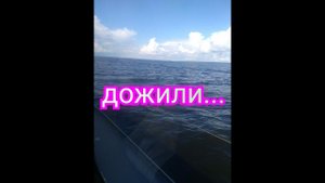 БРАКОНЬЕРЫ ДОКАТИЛИСЬ......