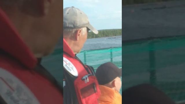 кормление форели механической кормушкой