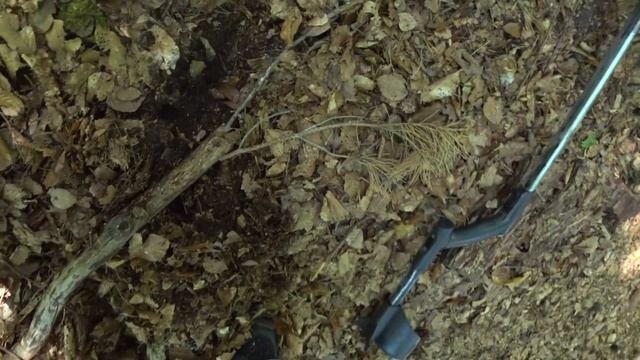 THE THIRD EYE! Metal Detecting, With A Symbolic Silver Find!