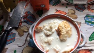 Бресс галльские куры в нашем хозяйстве