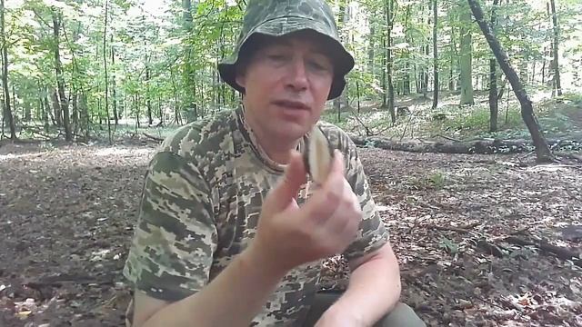 Весёлый гриб ВЕСЁЛКА! Готовим ВОЛШЕБНОЕ ЛЕКАРСТВО.