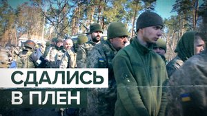 Военнослужащие ВСУ сдаются в плен российским военным — видео