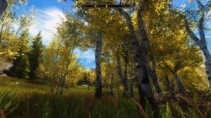 Skyrim Special Edition Riften fields