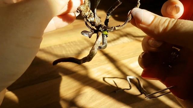 46. ПЕНЕК ОРХИДЕИ ДАЛ ДЕТКУ! Что делать с орхидеей без точки роста? Как стимулировать детку? смотреть онлайн