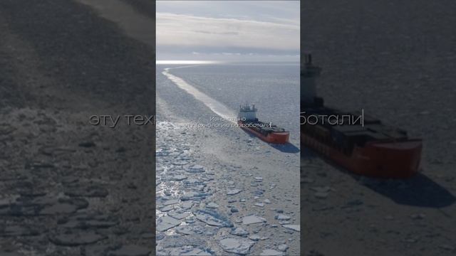 Только вперед!🚢