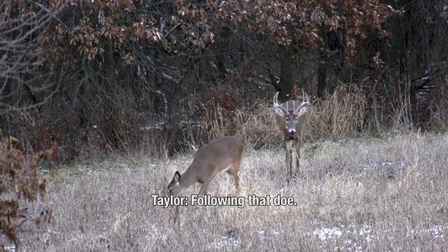 Gary or Taylor? Who Will Get the Triangle 10 First? - The Cutting Room Floor смотреть онлайн