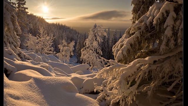Урал.Сказочная тайга. смотреть онлайн