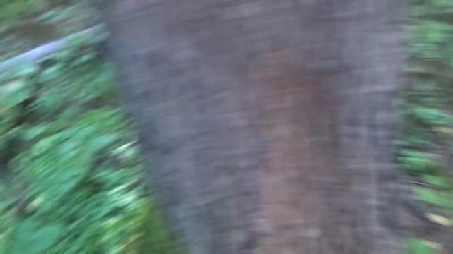 Нашёл крупное золото в ручье!!! Надо начинать добывать... смотреть онлайн