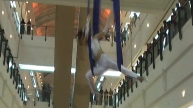 The trapeze artist "Air imagination"