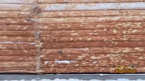 ДомБаня78 отзыв сруб дома 10х11м, в лапу, из окоренного бревна