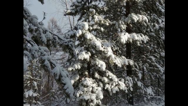 Зимняя сказка Забайкалья смотреть онлайн