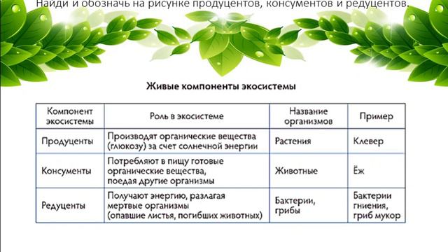 Компоненты экосистемы смотреть онлайн
