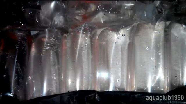 Дафния моина разведенная реализация смотреть онлайн