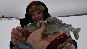 РЫБАЛКА С МОРОЗНЫМ ВЕТРОМ \ ЗАКРЫТИЕ ПО НАЛИМУ