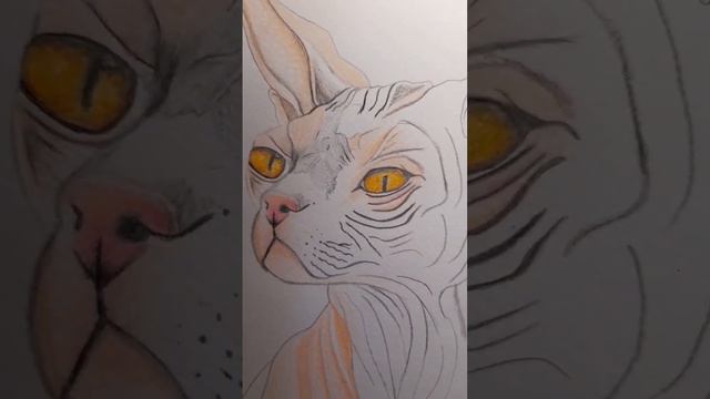 Dibujando un Gato Egipcio Con Lápices de color #proceso #art #acrilico #dibujo #2023