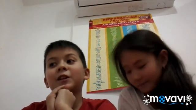 Моя милая Ванская кошка 4 месяца!!!