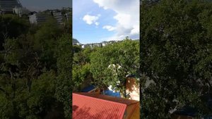 Канатная дорога от санатория Белоруссия в Мисхоре к морю