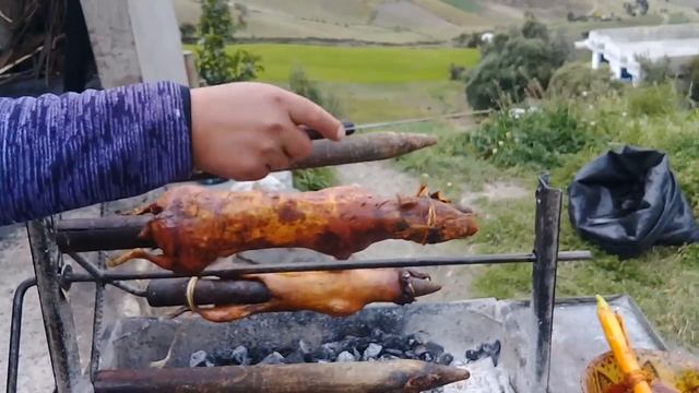 По местному Куй по нашему Морская свинка в Эквадоре.