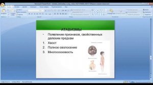 ЕГЭ по биологии 11 класс. Занятие 21.Общее положение человека в органическом мире.