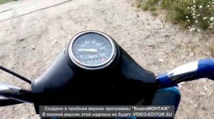 Муравей!!! Нереальная скорость 120 км/ч !!! сумел разогнать!!!