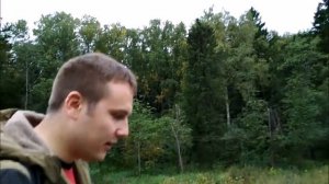 Грибной трип