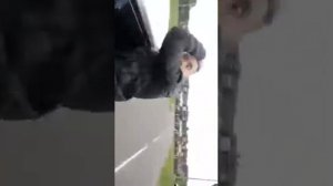 Обкуренный