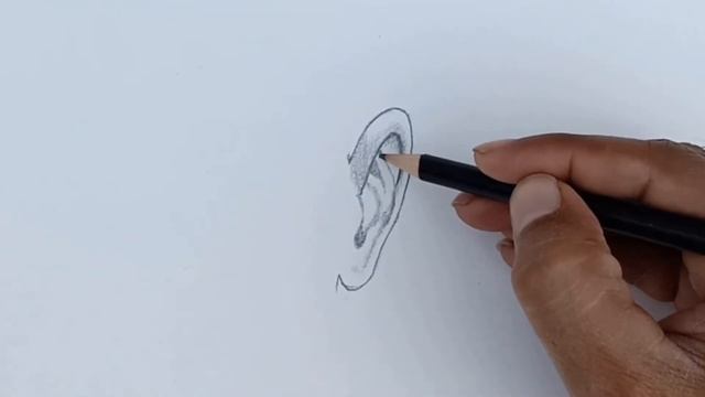 How to draw ear front view | How to draw realistic ear | Ear Drawing смотреть онлайн