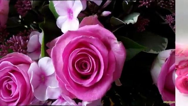 С_ДНЕМ_РОЖДЕНИЯ_МУЗЫКАЛЬНАЯ_ОТКРЫТКА_ПОЗДРАВЛЕНИЕ(1).mp4