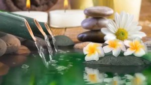 Бамбуковый фонтан и лечебная фортепианная музыка Успокаивающая релаксация